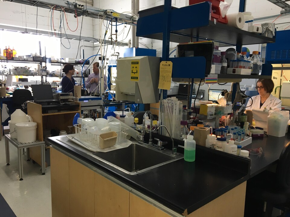 Des employés travaillent dans le laboratoire de CO2 Solutions à Québec.