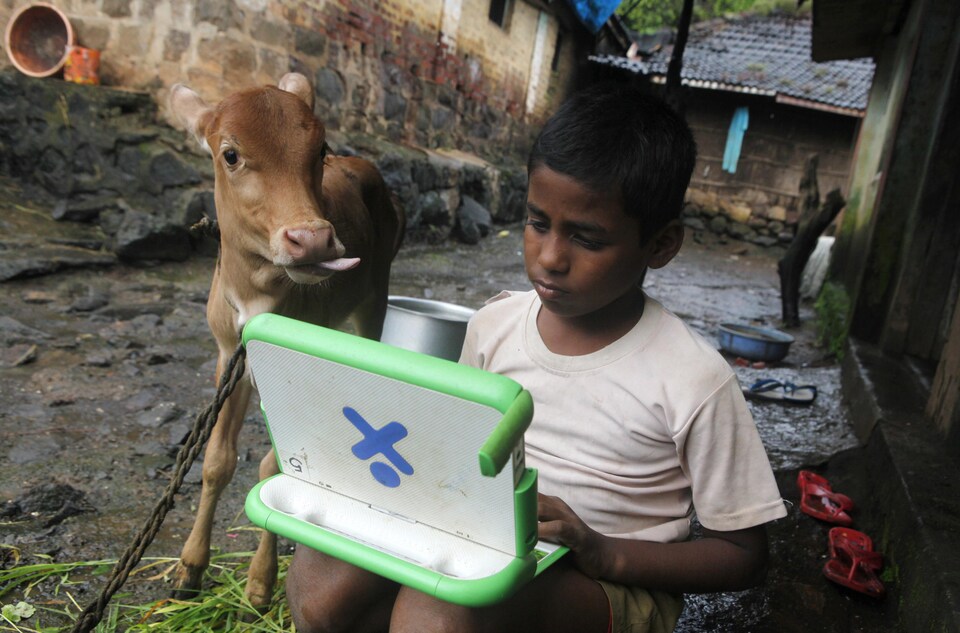Un jeune garçon assis à l'extérieur d'une maison utilise un petit ordinateur portable blanc, bleu et vert avec un veau à ses côtés.