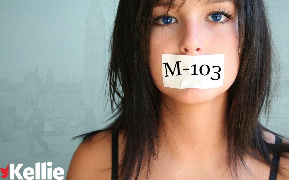 Une image que la conservatrice Kellie Leitch a publiée sur Twitter.