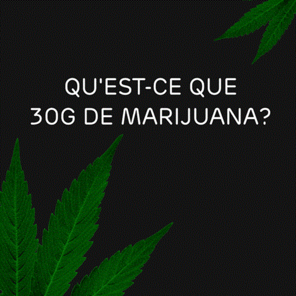 Projet de loi sur la légalisation du cannabis accueil prudent de