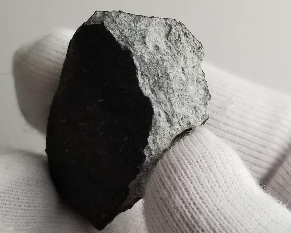 Une main gantée tient un fragment de météorite.