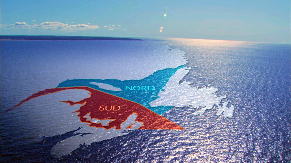 Carte qui décrit l'état des stocks de morue dans le golfe du Saint-Laurent