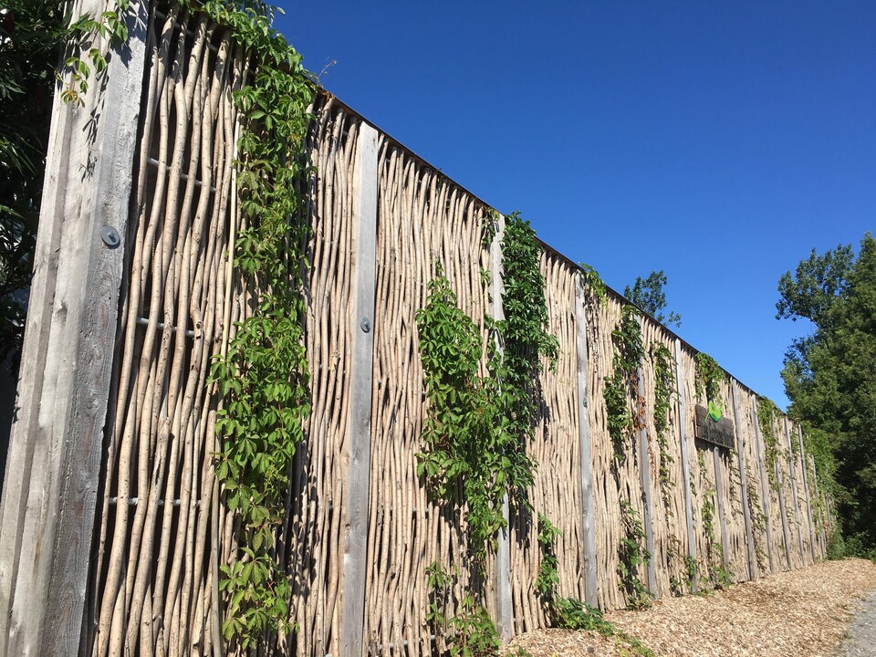 Un mur antibruit végétal.