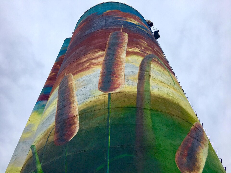 Des roseaux peints sur un silo