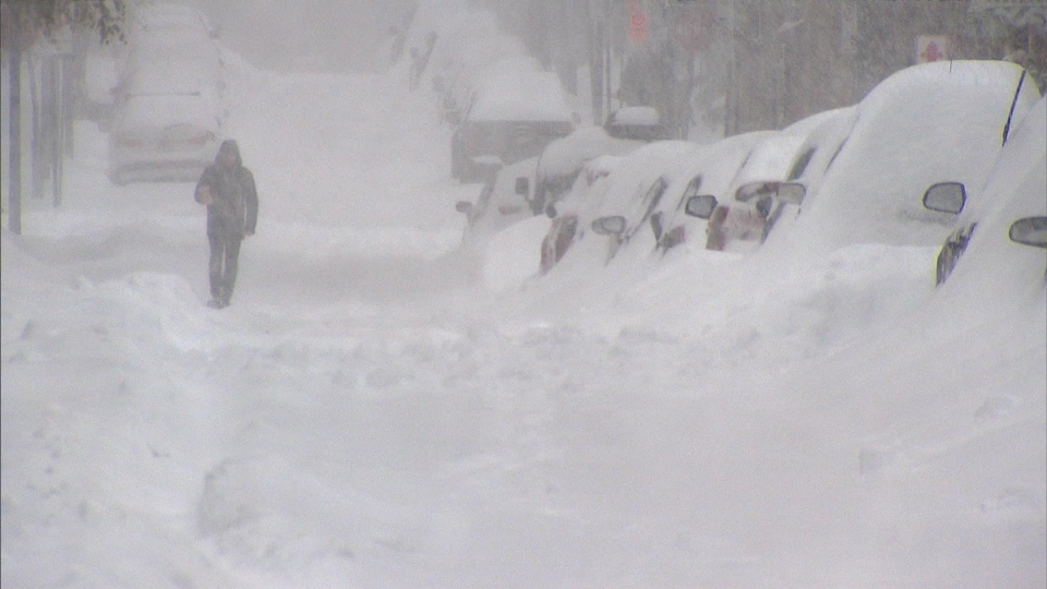 Les voitures en bordure d'une rue sont très enneigées; on les voit d'ailleurs difficilement en raison de la neige abondante qui tombe.
