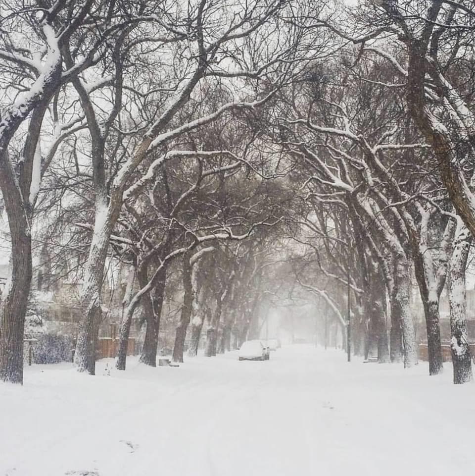 Une rue de Winnipeg enneigée