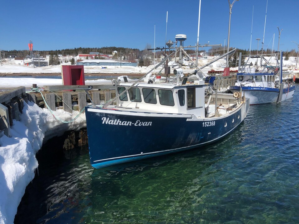 Des bateaux au printemps amarrés à un quai