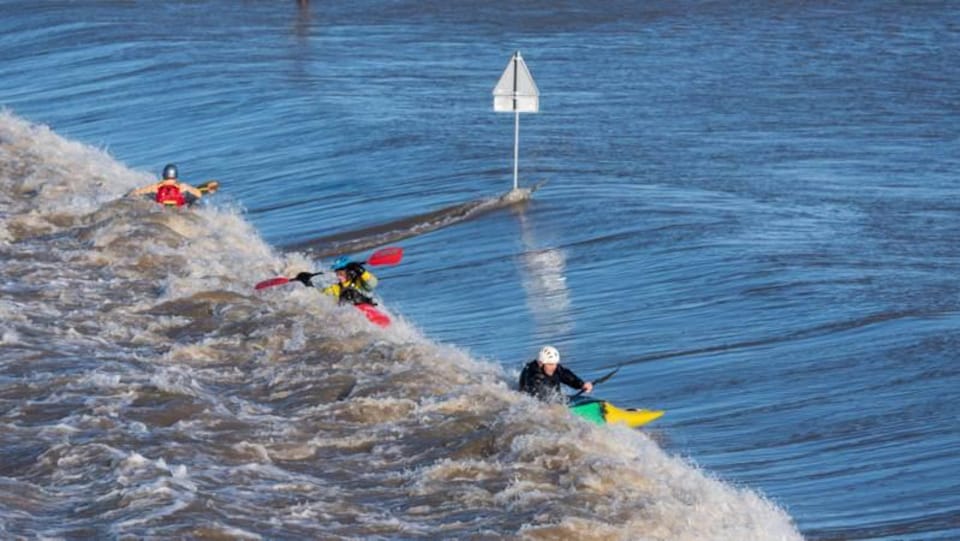 Un nouveau bras du Rhin permet aux riverains et les amateurs de kayak et de canot de s'amuser.