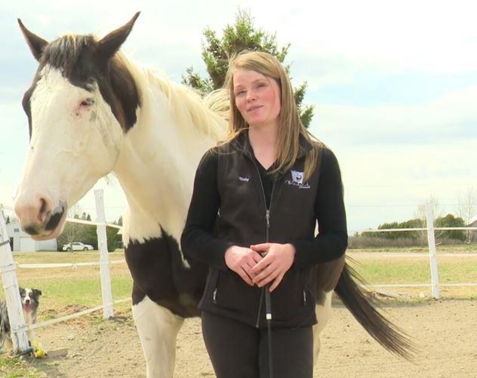 Quand Le Cheval Enseigne Au Maitre Radio Canada Ca