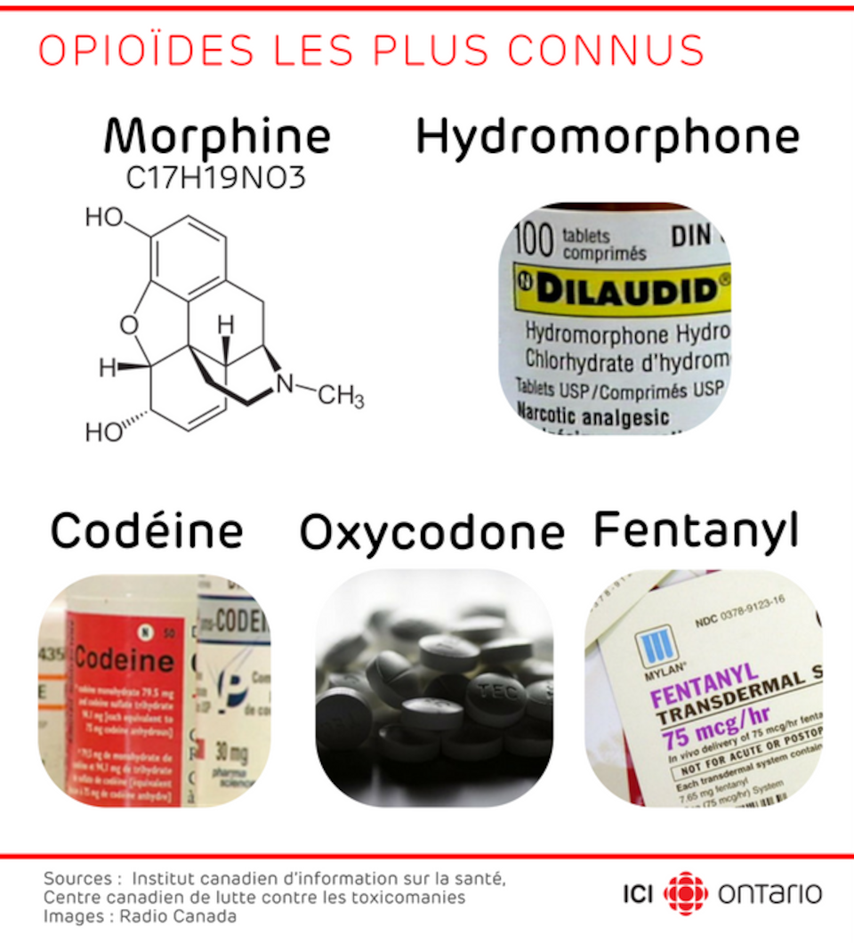 Opioïdes les plus connus : codéine, morphine, oxycodone, fentanyl, hydromorphone