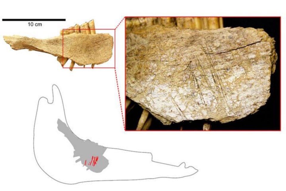 artefacts de datation de radiocarbonechunji datant avec ulzzang