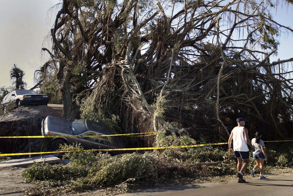 Arbres et voitures se trouvent pêle-mêle après l'ouragan Wilma, en Floride