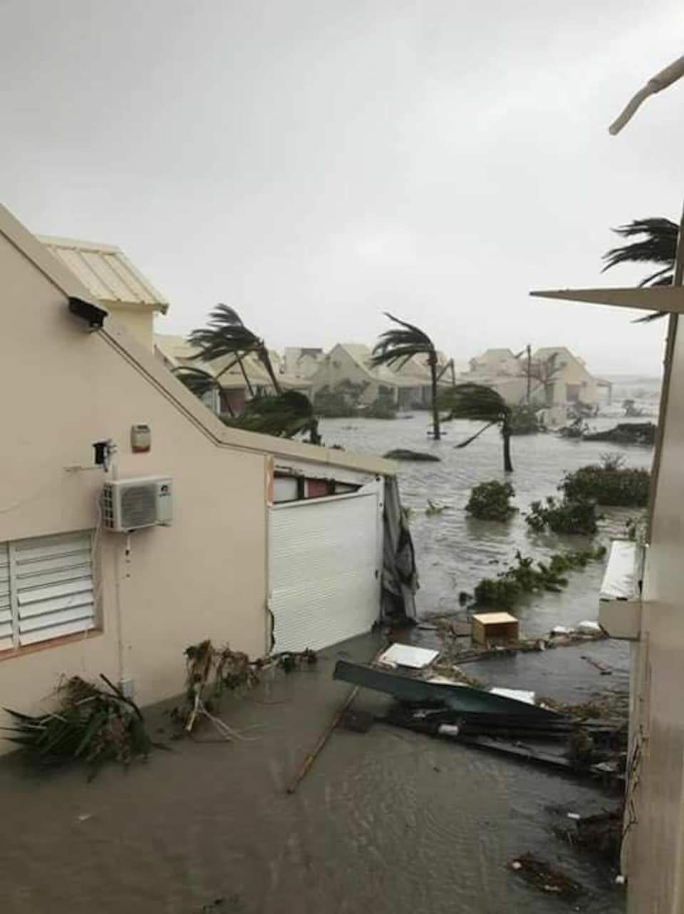 Un quartier de l'île de Saint-Martin est envahi par les eaux et les débris, tandis que le vent souffle durement sur les palmiers.