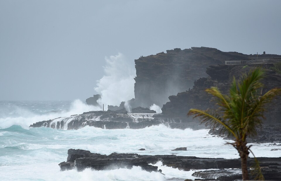 Des vagues puissantes s'écrasent sur les falaises à Oahu.