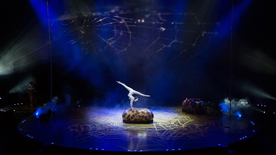 Le spectacle « OVO », du Cirque du Soleil