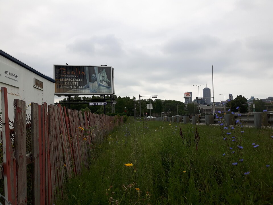 Ce panneau publicitaire situé en bordure de l'autoroute Laurentienne accueillera une affiche de Québec solidaire.