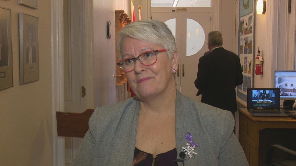 Paula Biggar, la ministre des Transports, en entrevue télévisée.