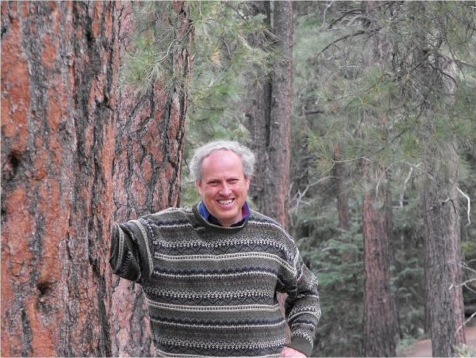 Un homme avec un chandail de laine rayé accoudé sur un arbre en forêt. 