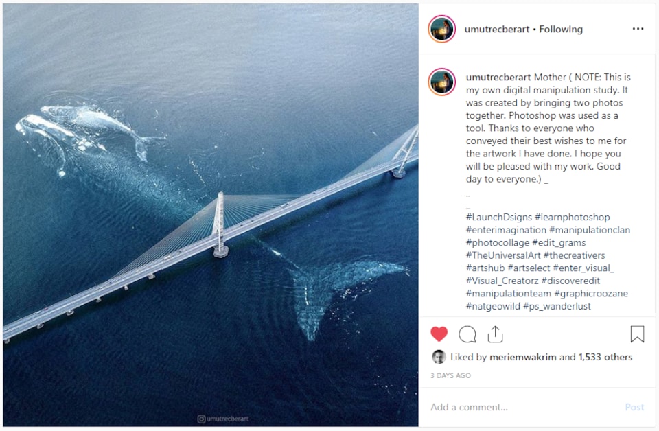 On voit une baleine adulte et un baleineau passer sous un pont. La légende de la photo indique « Mother » (Mère), ainsi qu'une note indiquant que c'est une photo retouchée.