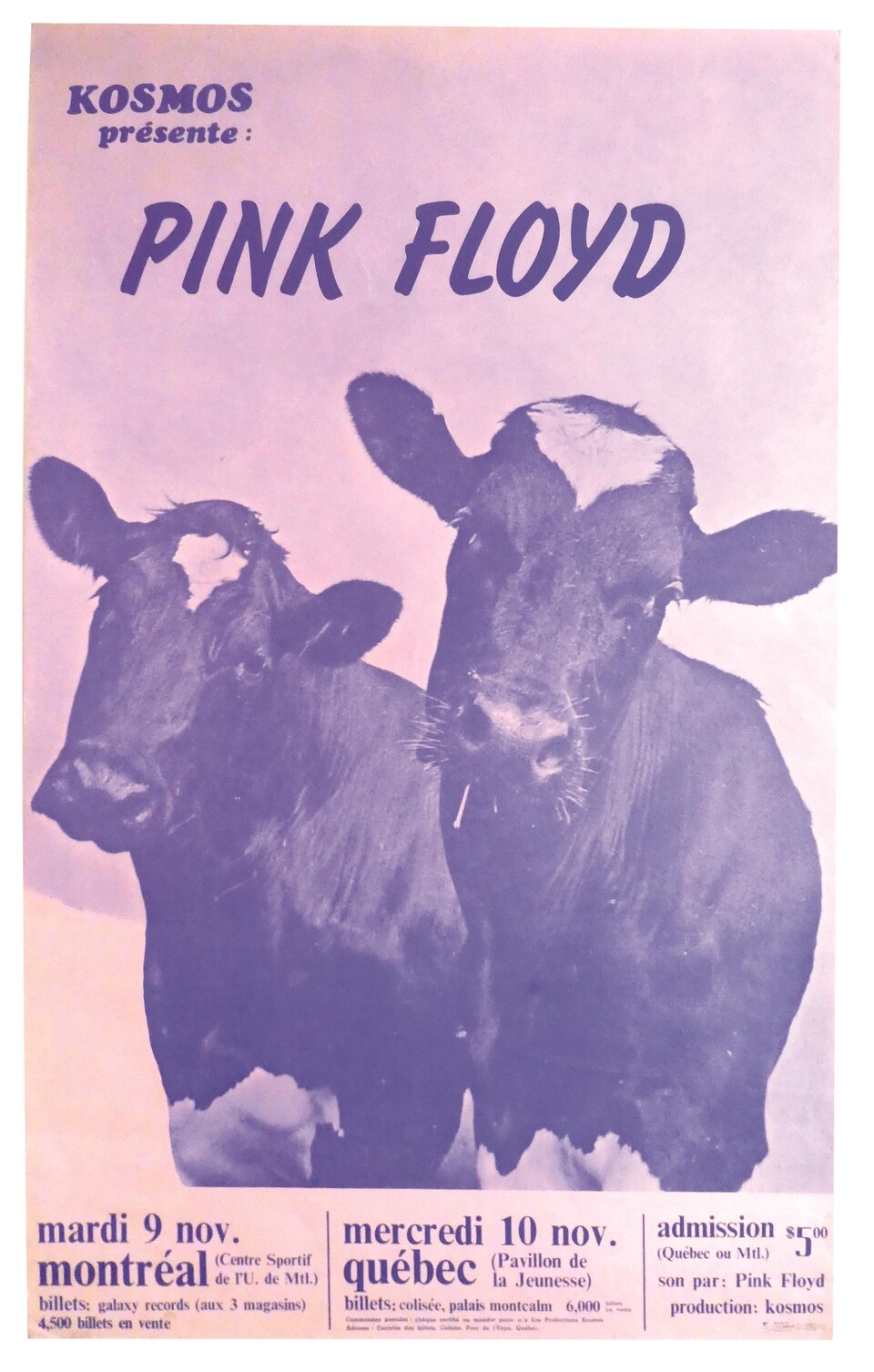 L'affiche du spectacle présente deux vaches et les informations sur les concerts à venir. 