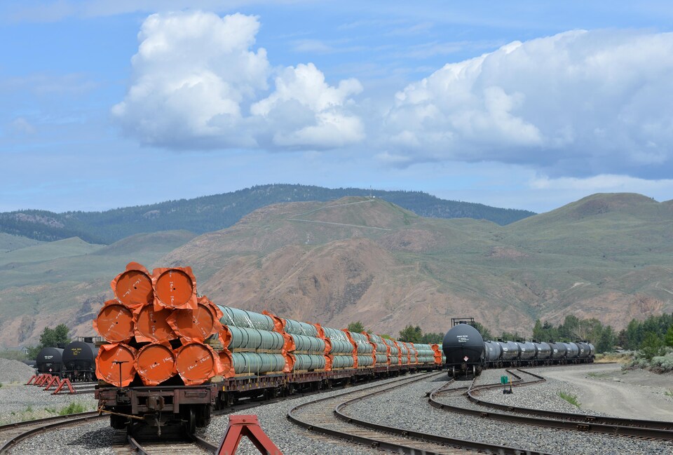 Les tuyaux sont sur des wagons de train, devant un paysage montagneux.