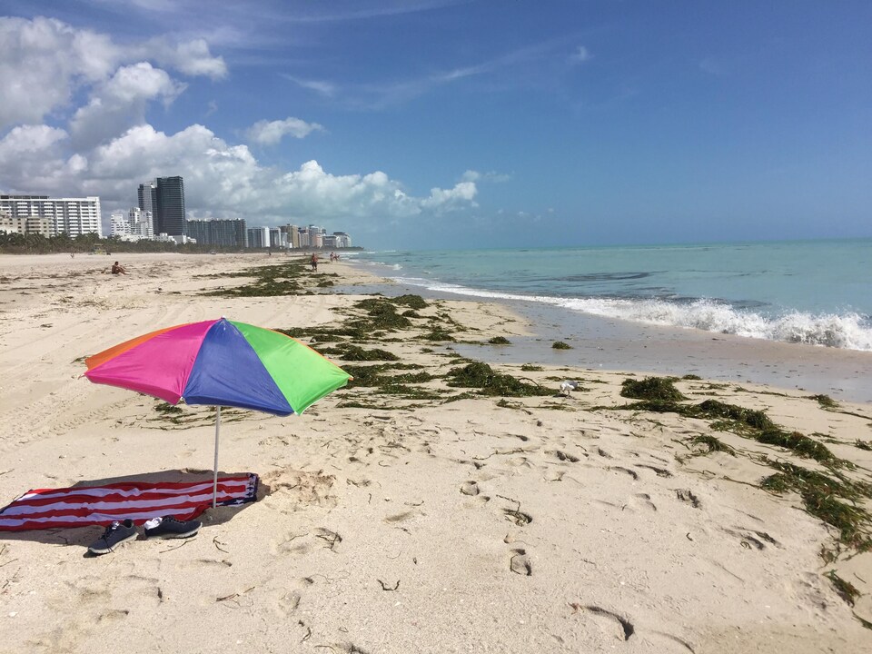 Une plage de la Floride, après le passage de l'ouragan Irma