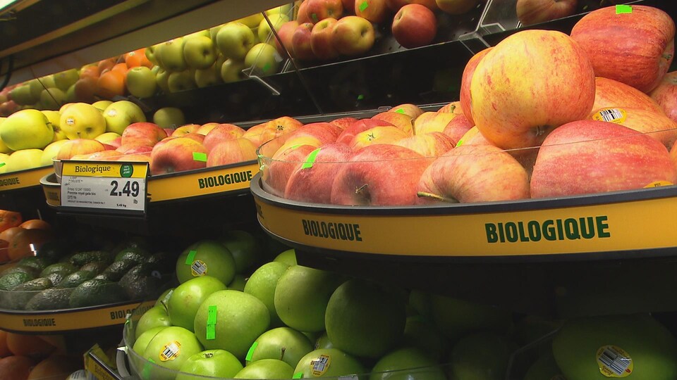 Un étalage de pommes biologiques au supermarché Metro de Rimouski