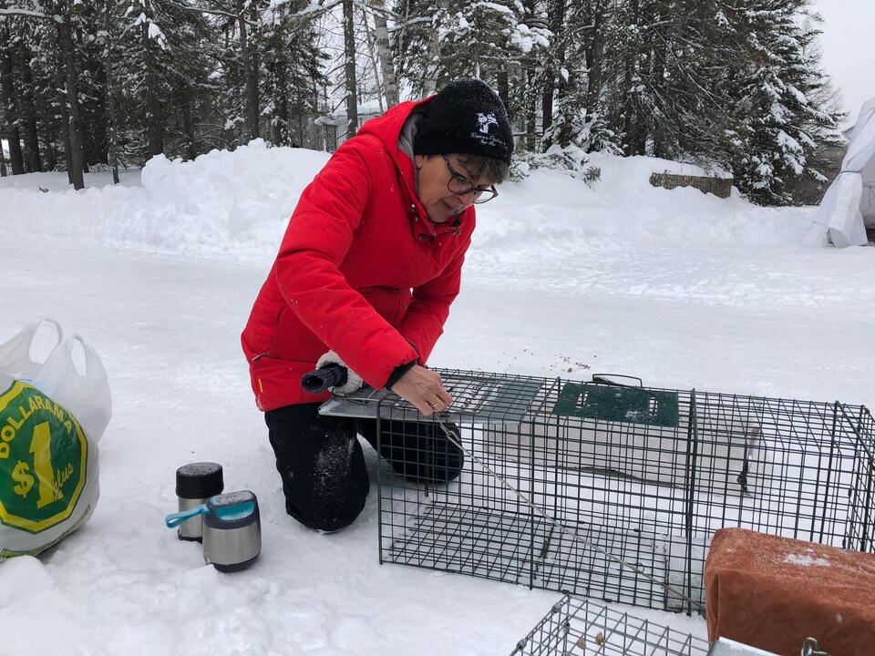 Annie Tremblay est accroupie dans la neige pour ajuster une cage trappe.
