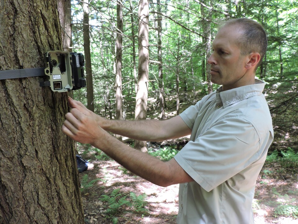On voit M. Robidoux qui inspecte la caméra attachée à un tronc d'arbre.
