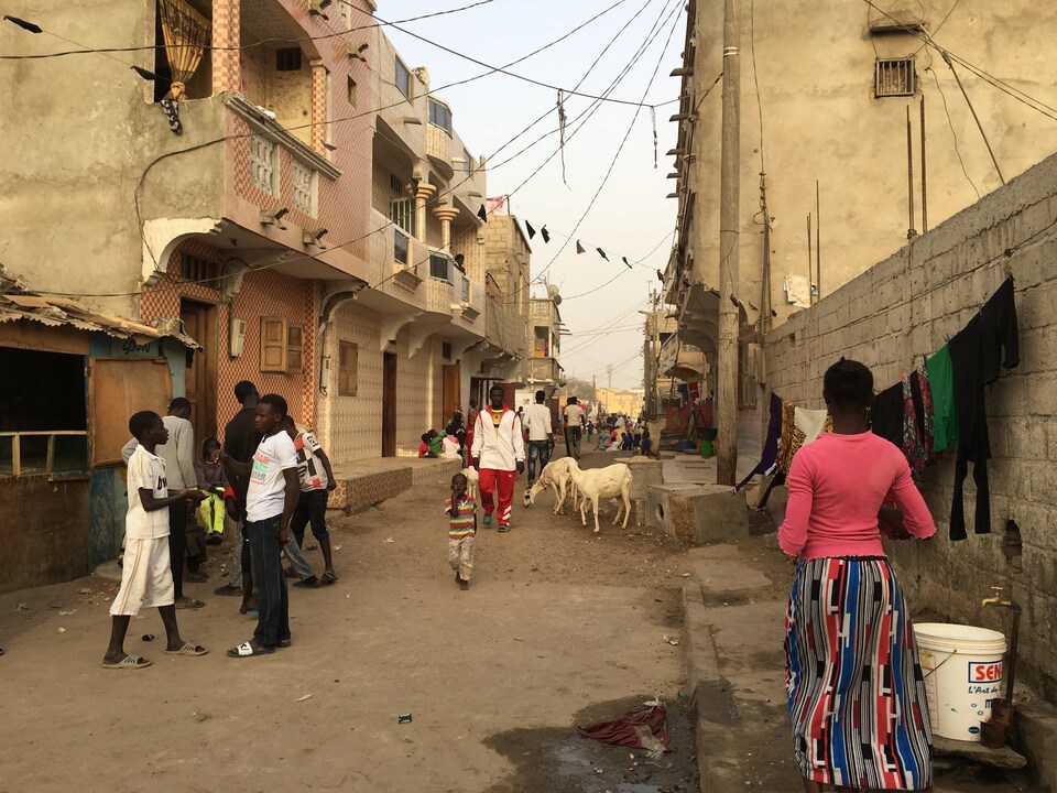 Des gens et des chèvres dans une rue étroite.