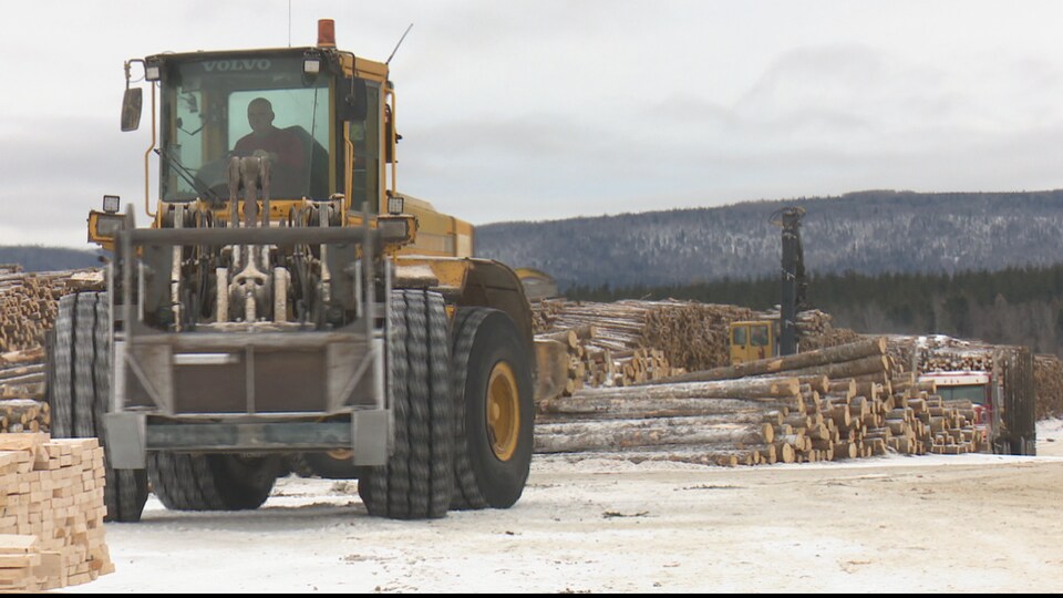 La coopérative forestière de Saint-Ezléar procure du travail à 120 personnes en usine et en forêt.