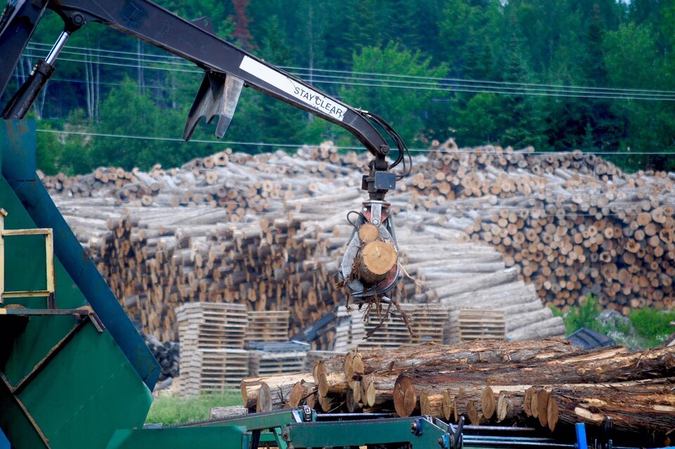 L'approvisionnement en cèdre de la scierie Waska au Nouveau-Brunswick vient à 65% de la forêt du Maine.
