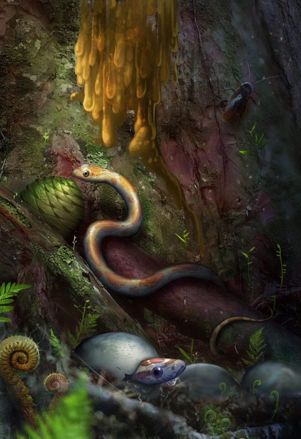 Un serpent blanc et orange rampe sur un tronc d'arbre pendant qu'un autre légèrement violet sort sa tête d'une coquille d'oeuf. 