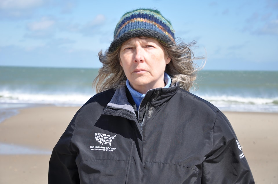 L'environnementaliste Sharon Young, de la Humane Society, milite pour des changements à la pêche au crabe afin de sauver la baleine noire.