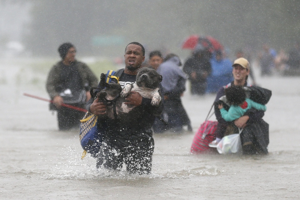 Les sinistrés marchent dans l'eau portant enfants et animaux et ce qu'ils ont pu sauver de leurs biens personnels. 