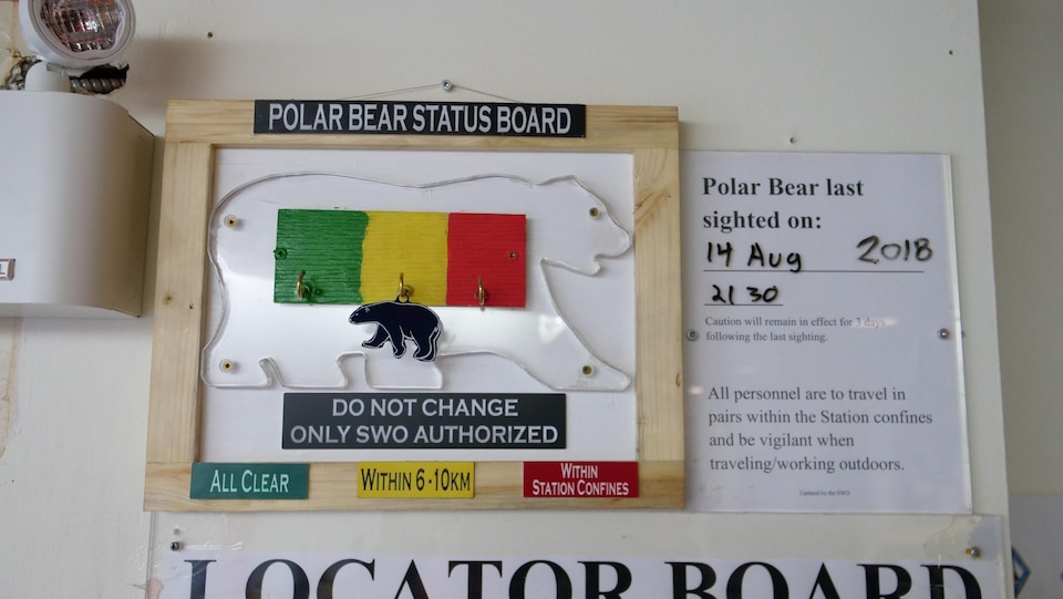 Un tableau indiquant la dernière fois qu'un ours polaire a été signalé. 