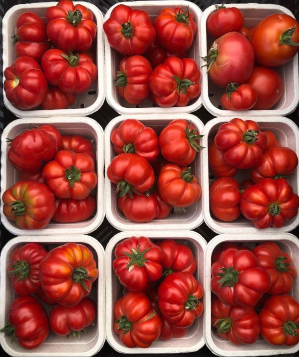 Des barquettes remplies de tomates fraîches. 