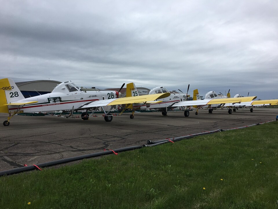 Quatre des huit avions stationnés à l'aéroport de Rimouski destinés à l'épandage des insecticides dans la lutte contre la tordeuse des bourgeons de l'épinette
