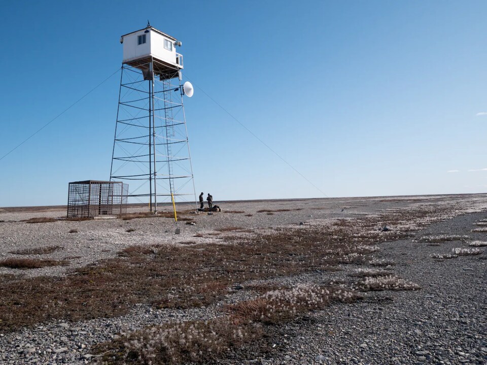 Small speed cameras sit on top of a tower several stories high.