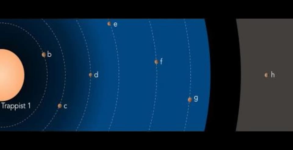 Le système planétaire autour de Trappist-1. Les tailles des objets sont à l'échelle, mais les distances sont réduites d'un facteur 10. La couleur de l'étoile est réaliste. La zone bleutée indique la région où la présence d'eau liquide est possible en surface des planètes. La zone en grisé indique la gamme possible de distances orbitales pour la planète.