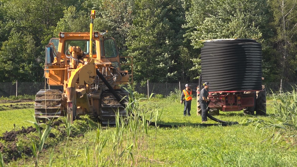 On voit un tracteur sur lequel est chargé un long tuyau de drain enroulé. Des hommes procèdent à son installation.