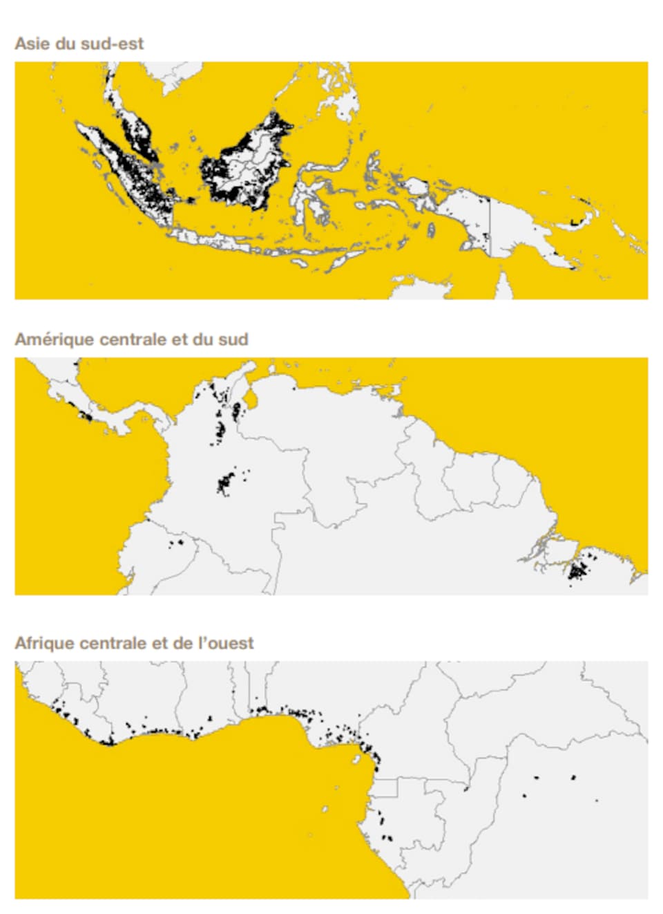 Carte des plantations de palmiers à huile dans le monde, selon l’analyse par satellite réalisée et revue dans la présente étude. 