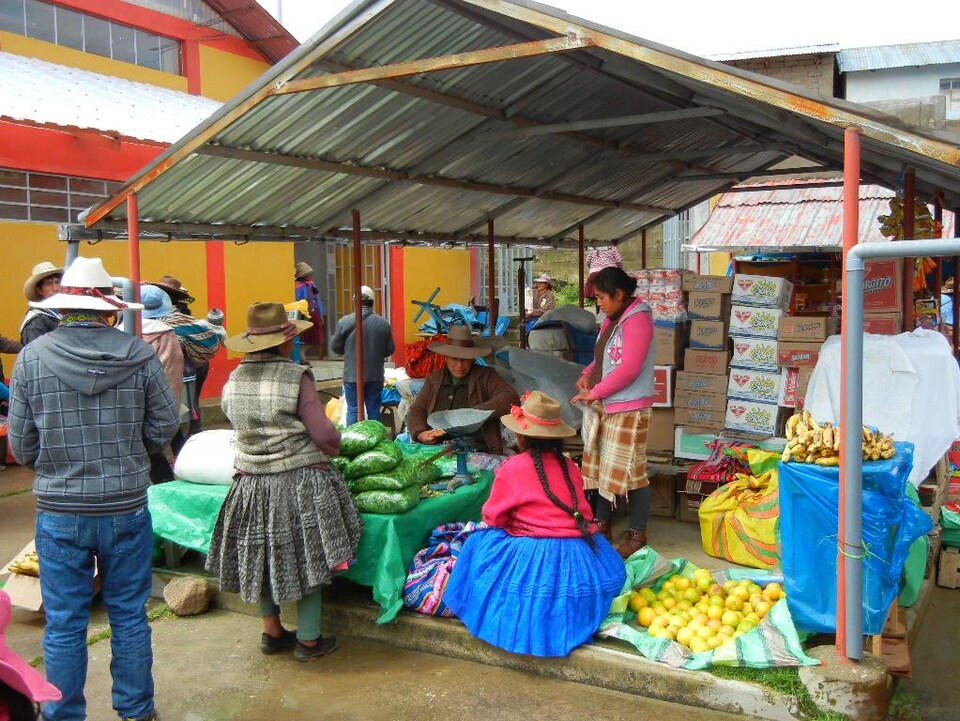 Une vendeuse de feuilles de coca au marché de Chamaca au Pérou.