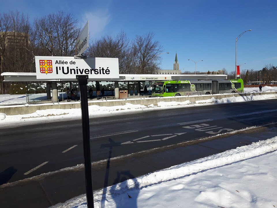 De nombreux étudiants de l'Université Laval se déplacent en autobus pour venir sur le campus.