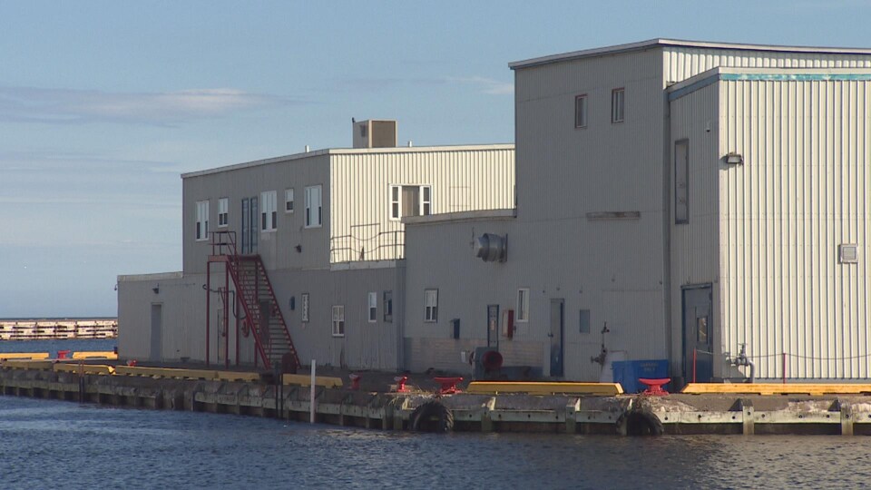 Une usine de transformation, située au bord de l'eau.