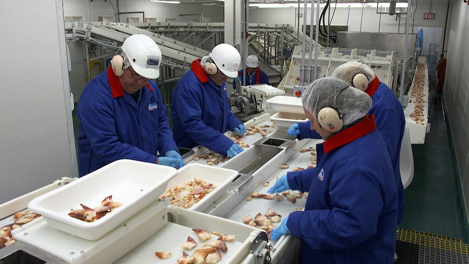 Des travailleurs de l'usine de Clearwater, à Grand Bank, à Terre-Neuve-et-Labrador, emballent des mactres de Stimpson pour le marché asiatique.