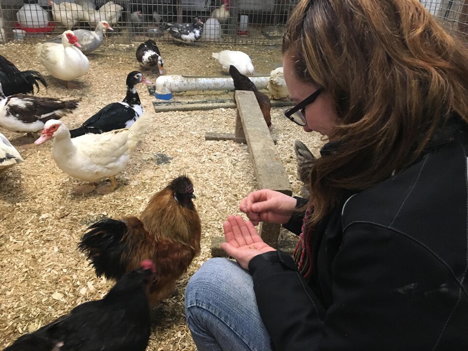 Véronique Bouchard nourrit ses animaux avec des vers biologiques. 