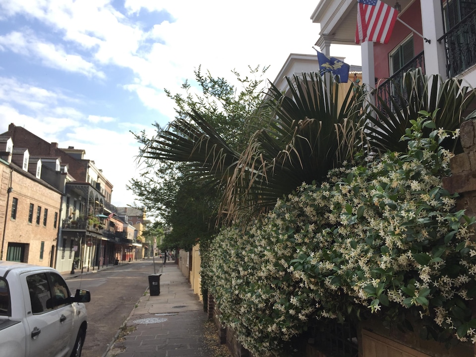 Une rue étroite encadré de murets fleuris et d'immeubles. On voit aussi les drapeaux des États-Unis et de La Nouvelle-Orléans.