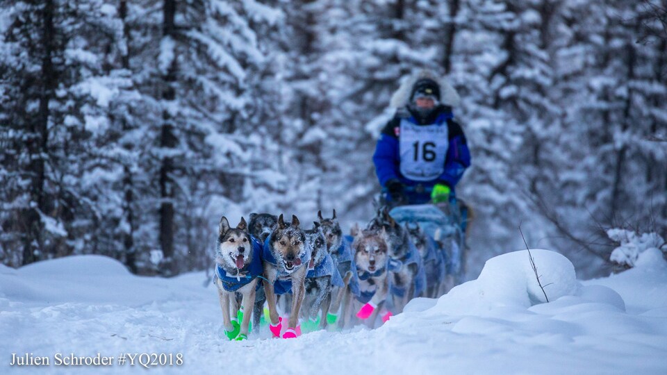 Jennifer Campeau sur son traîneau pendant le Yukon Quest 2018