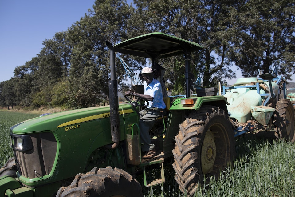 Un ouvrier agricole conduit un tracteur dans un champs au Zimbabwe.